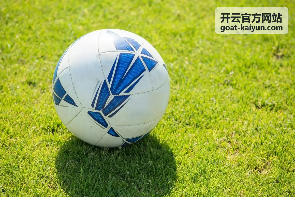 开云官方网站会员权益调整公告